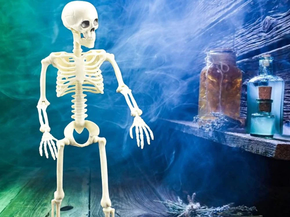 Halloween Deko 👻 Hängendes Menschliches Skelett 40cm Weiß Kunststoff 🎭  5900779956957