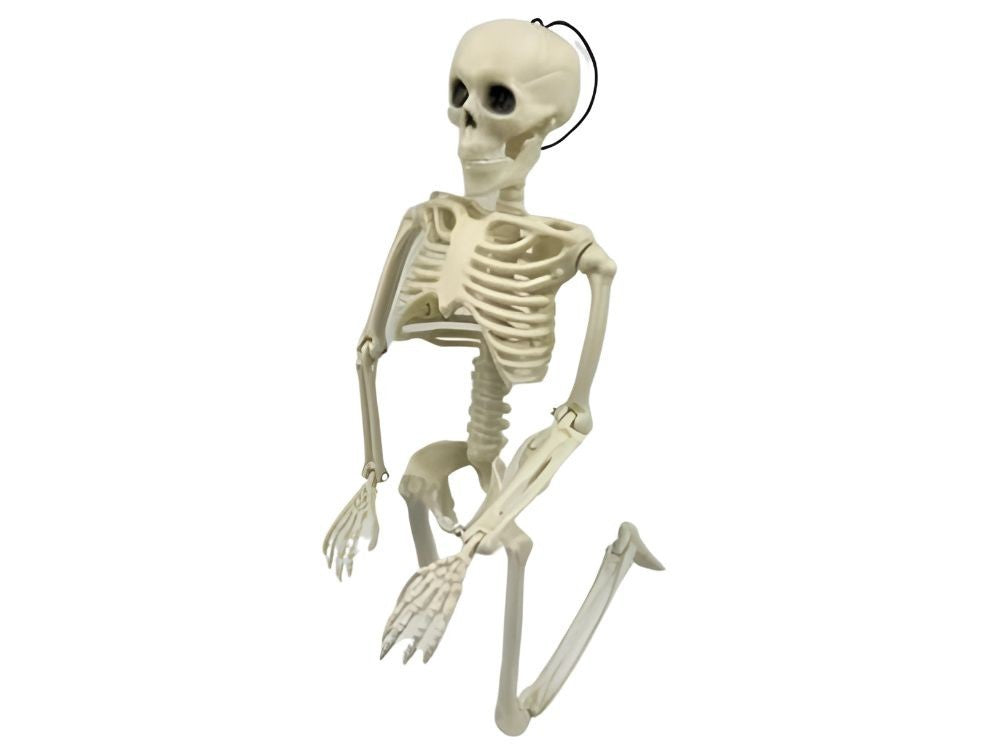 Halloween Deko 👻 Hängendes Menschliches Skelett 40cm Weiß Kunststoff 🎭  5900779956957